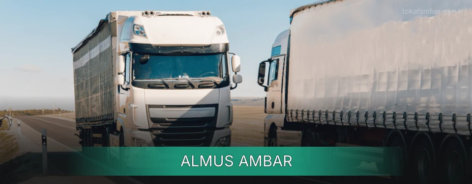 Almus Ambar